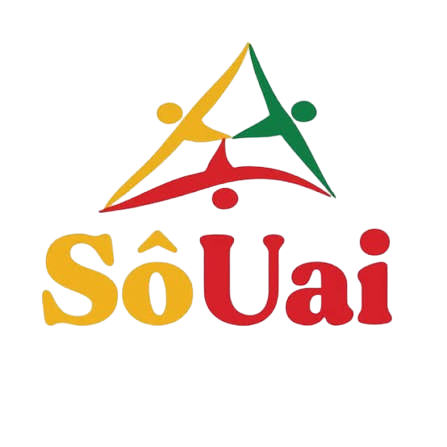 Instituto SôUai